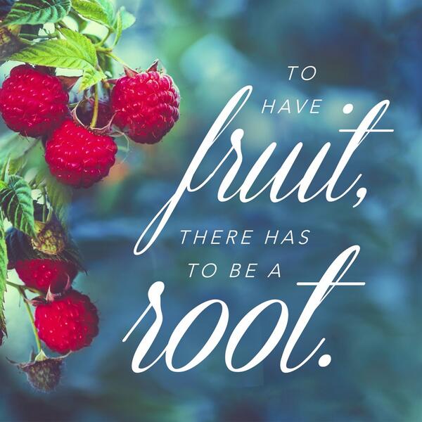 ElevationChurch's tweet image. "To have fruit, there has to be a root." -Pastor @stevenfurtick 
#DeathByDistraction