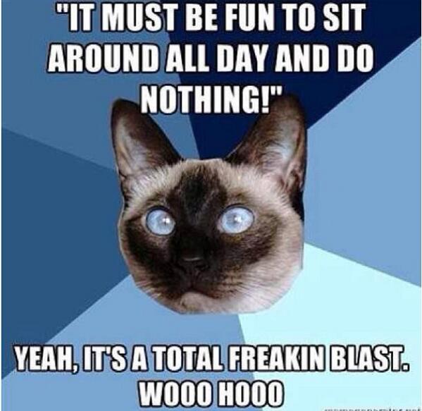 CFS_problems's tweet image. #cfsproblems #spoonieproblems #chronicfatigueprobs