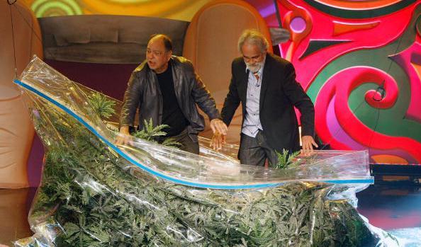 tommychong's tweet photo. I didn't want to get out.... http://t.co/rl6an7jCwh