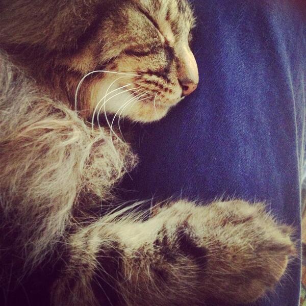BlueFirth's tweet photo. Still missing. #midhurst #petworth #haslemere #cowdray http://t.co/7m5YrpQL7S