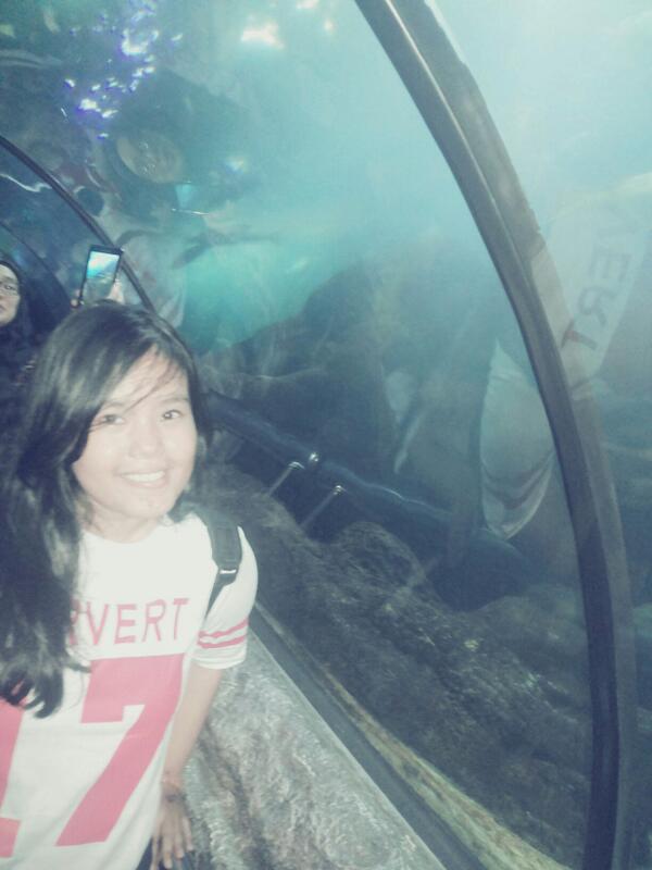 arfkrn's tweet photo. "@karinaady: SEAWORLD INDONESIA , maaci @arfkrn yg udah mau ajak jalan , mumpung lagi sama sama libur hihi♡ http://t.co/S3Rqo4KTzf"