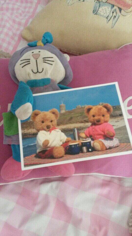 LoveMyCow's tweet photo. My eldest sends her beloved Kitty a postcard from her holiday #gorgeousgirl http://t.co/oIj8gb1Si1
