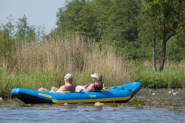 De #otter terug in de #Nieuwkoopseplassen : ik heb deze op de kleine polder gespot !