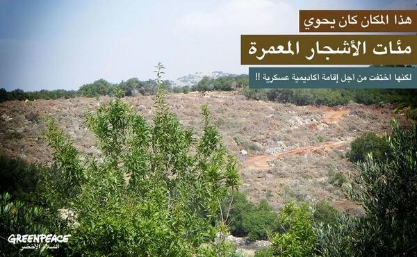 Safaaljayoussi's tweet photo. "@GreenpeaceJO: صور اليوم من #برقش مجموعة السلام الأخضر زاروا مكان التعدي على الاراضي #انقذوا_برقش http://t.co/PsA1SJUrZG"