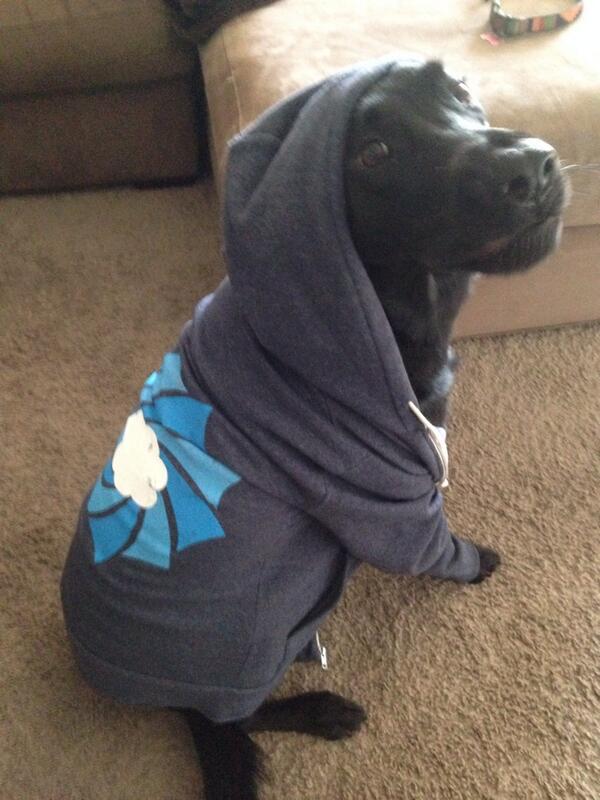 Maybe these two can team up to create a #CSSuperDuo!
<a href="/buzztobi/">Tobias Harttung</a> <a href="/Meltwater/">Meltwater</a> <a href="/GainsightHQ/">Gainsight</a>