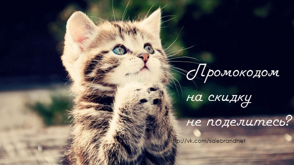 SaleBrandNET's tweet image. 