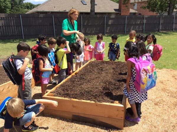Ranger_Ranch's tweet photo. Pre-K plants black eyed peas in the garden. http://t.co/CY0yxgpopK