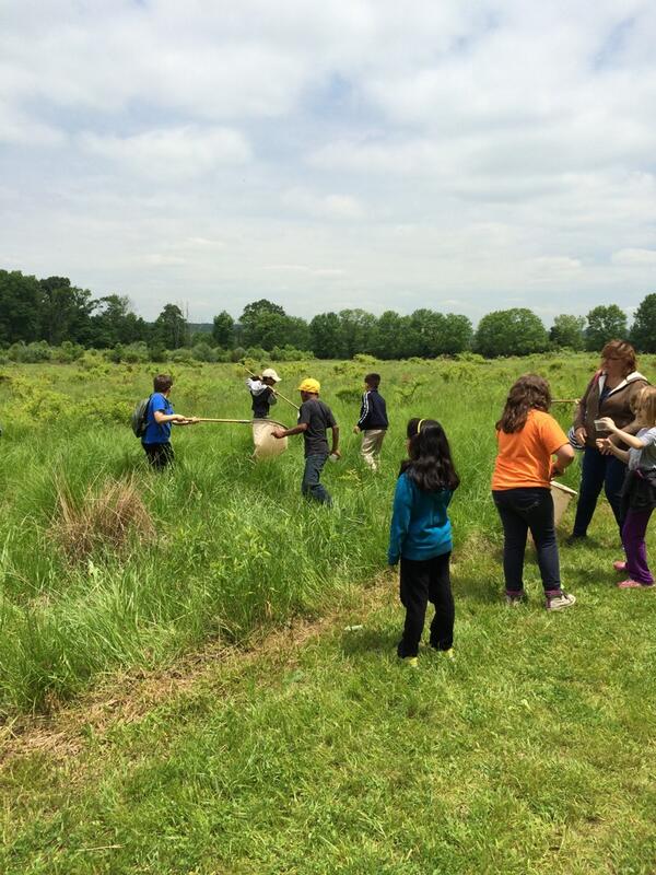 Danielle Price tweet media