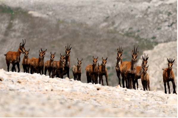 Il Ponticello Trek tweet media