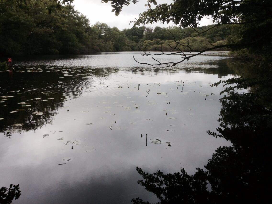 Permalien de l'image intégrée