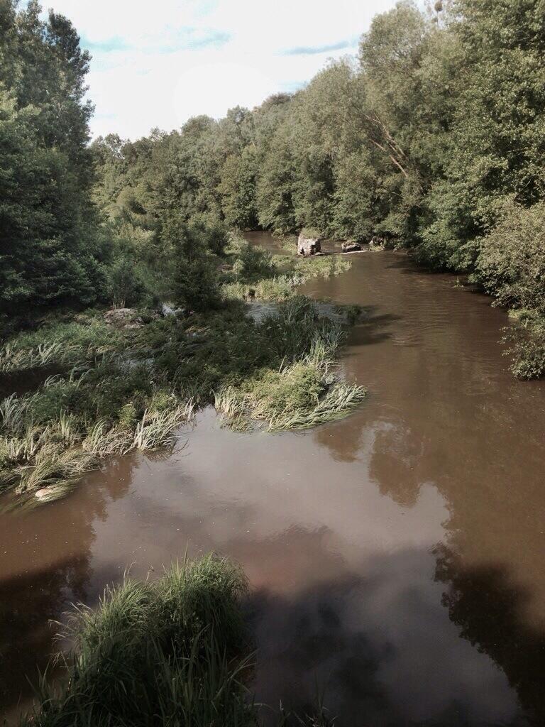 Permalien de l'image intégrée