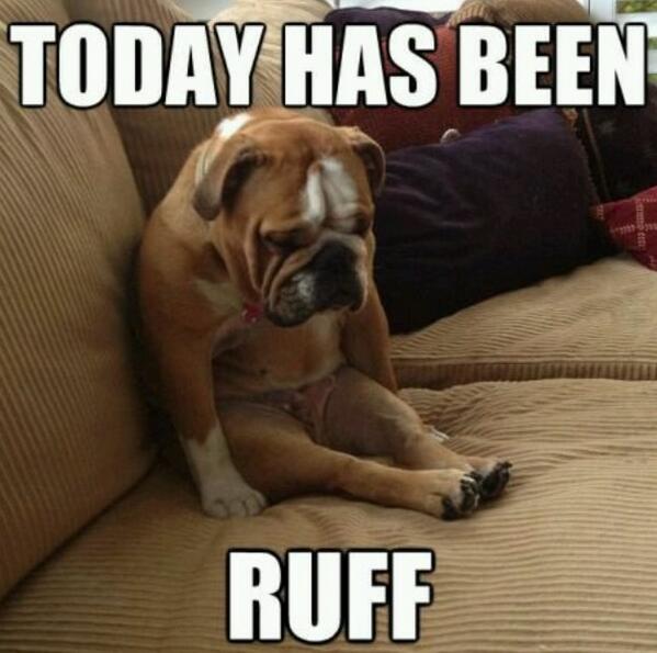 SaraBeth14's tweet photo. This certainly sums it up. http://t.co/sKddSq9bxh