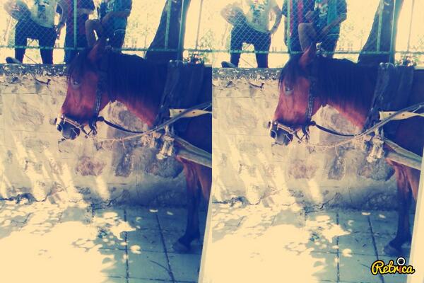 geryy559 tweet picture