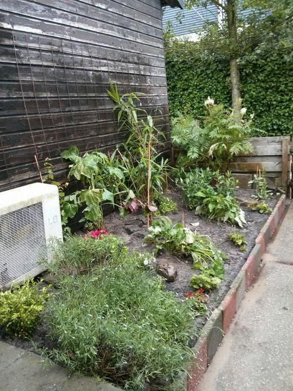 We hebben een super mooi #tuintje :) Dank aan alle #vrijwilligers voor planten en hun harde werk!!
