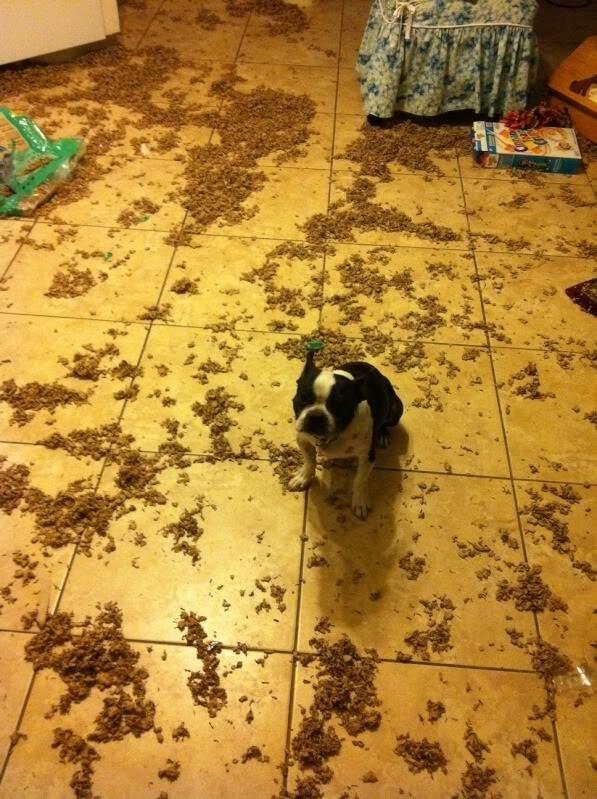 ぼ、僕じゃないよ。。