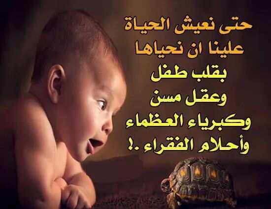 MustMustfa tweet picture