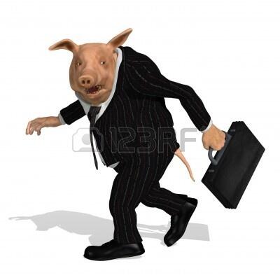 AndrsAmm's tweet photo. Te pillé!! @IbraHammett #cerdotrabajador #oingoing http://t.co/l47jNJVcLC