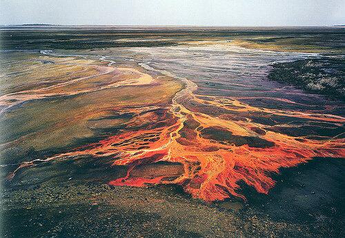 HelpStopPebble's tweet image. Would you eat fish from water like this? #savebristolbay #nopebblemine