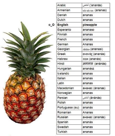 KarakashOff's tweet image. English us English ...#englishproblems