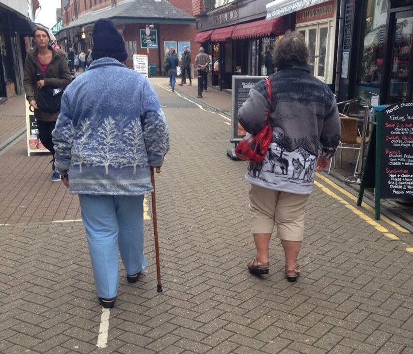 Old lady deals wolf fleece