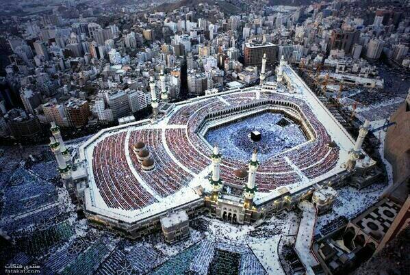 rehap__'s tweet image. 