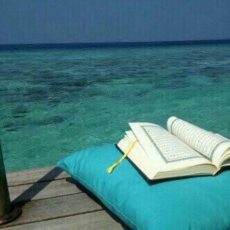 rehap__'s tweet image. 