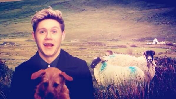 1DAlert tweet picture