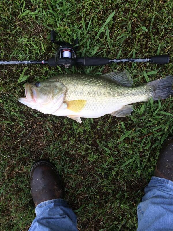 FishingLifee's tweet photo. "@devin_cutshaw: @FishingLifee 51/2 lbs. http://t.co/SitCiyKcwd"