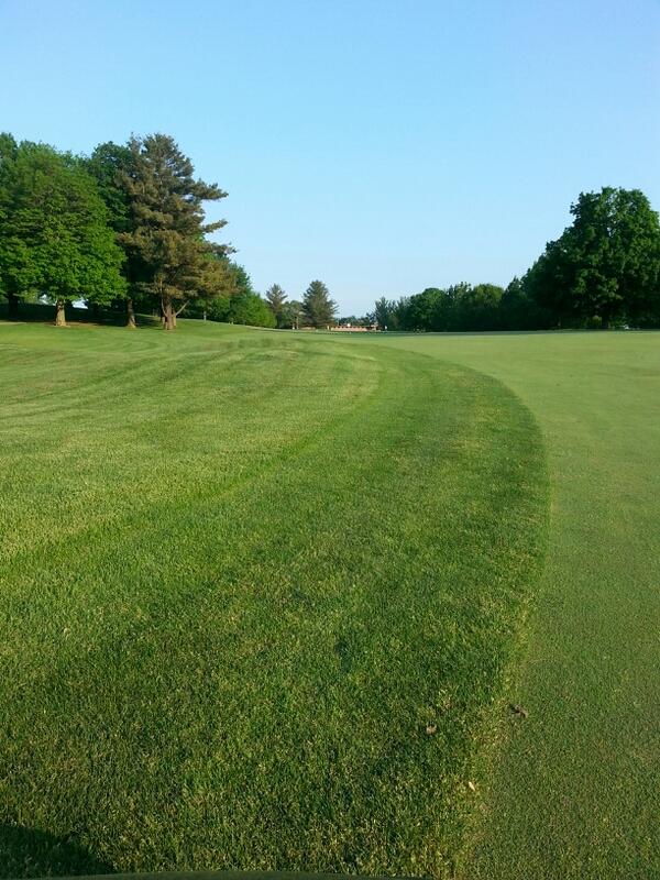 TmacWolf's tweet image. Working hard at my golf game and getting my protein in for the day in gnats