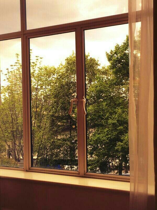 rehap__'s tweet image. 