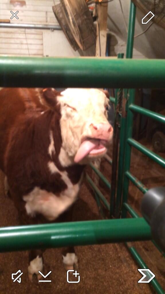 jssullivan8's tweet image. Drunk chicks taking photos like ......