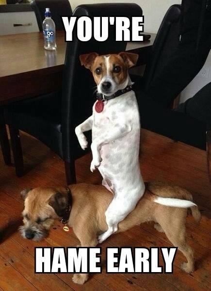 HugoTheBorder's tweet image. 