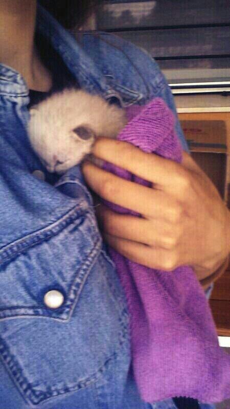 esther2094's tweet photo. Si es que en realidad hacerme feliz es muy fácil http://t.co/WOd22gvNBy