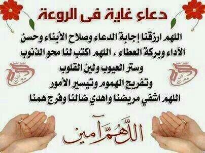 Anya Musk ⚖️ tweet media