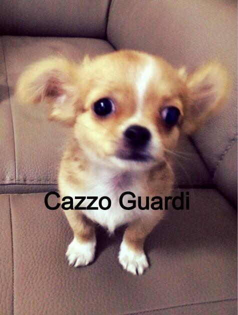 GioGiosaul's tweet photo. Hahaha http://t.co/SltY36S0sT