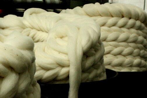NZBiotechLearn's tweet photo. The wonder fabric: http://t.co/GyhUkcCouP #wearelovingwool @Campaign4WoolNZ @CampaignforWool #edchat http://t.co/X8cm0T67M0