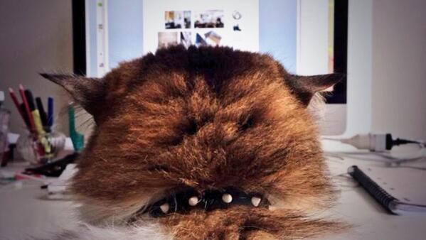 Our pet parlor kitty "Sir Ziggy" working like a boss!!! #lovethypet #petpaparazzi #kittypuppyfluffy #meow