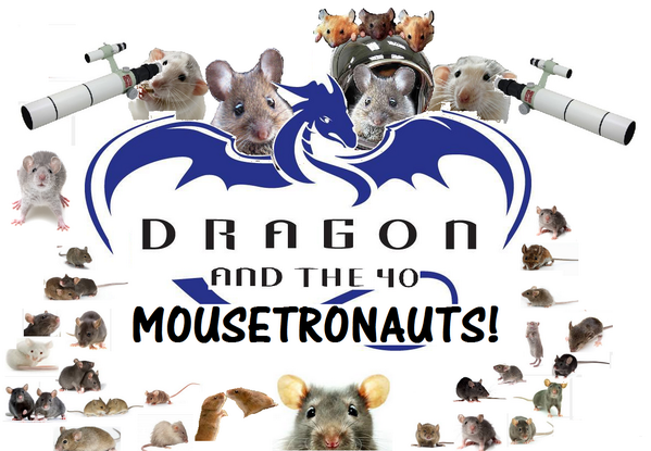 Nice to hear the 40 #mousetronauts are enjoying that ride. <a href="/AstroMiceRule/">Astro Mouse</a> <a href="/SpaceX/">SpaceX</a> #DragonV2