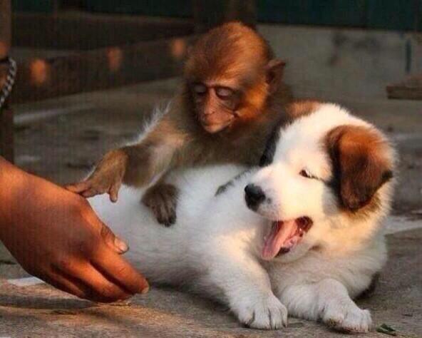 ComedyAlive's tweet photo. when people call my best friend their best friend http://t.co/BkFWRPfWNi