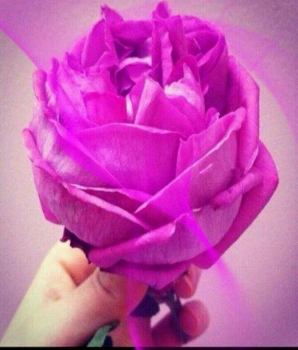 aaaa13151's tweet photo. @ahmad_rabeaa 
صباح الخير http://t.co/YBpBGge9RP