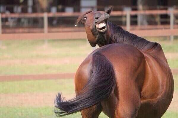 lipbalmwhore's tweet image. #ProblemVideoTomorrow