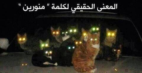 Raja791's tweet photo. المعنى الحقيقي لي...... http://t.co/xkTuYlPgdc
