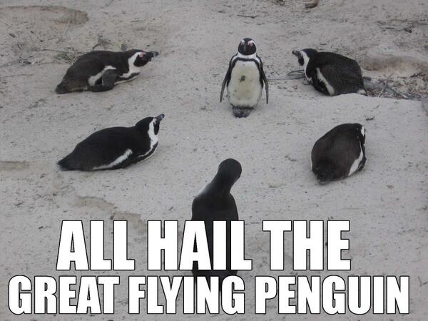 LouPenguinz's tweet image. Praise the Great Flying Penguin that our species is LITERALLY polar opposite from polar bears. @QannikBear