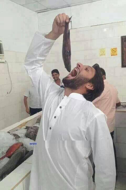 saifkhan202's tweet photo. http://t.co/fwwnk7ti4o
