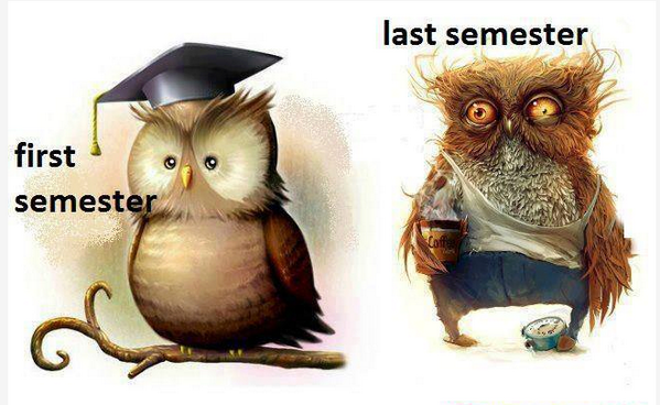 technologytips0's tweet image. Programming :)