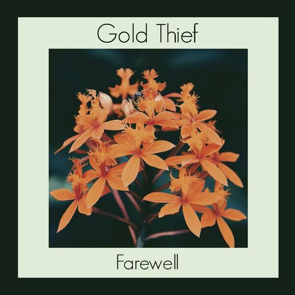 Sudah rilis! Single kami yang kedua yg berjudul "Farewell", silahkan dengar soundcloud.com/goldthiefband