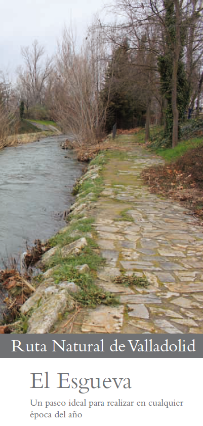 Valladolid Congresos tweet media