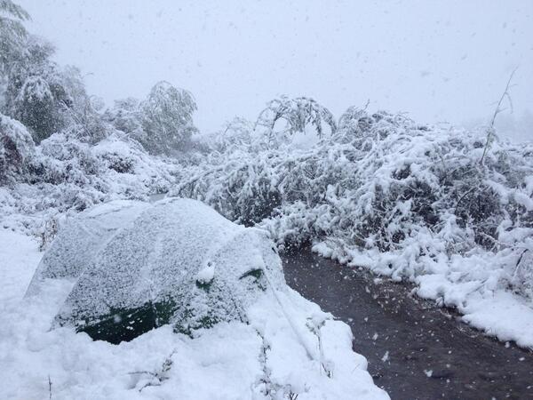 PipStewart's tweet image. 101 of camping: that dry, flat, land may look different in the morn... @BackToBlighty13 @AdvTravelShow #kazakhstan