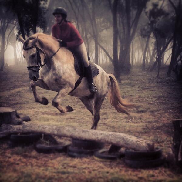 chimzter's tweet photo. Me and Capitao in the woods! Awesome (special) stallion! http://t.co/LblDSeId5k