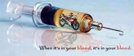 Bjorn Estment tweet media